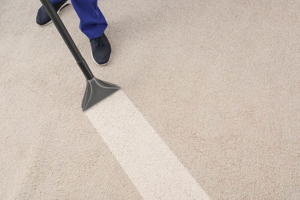 is-professional-carpet-cleaning-worth-it-extraction-result