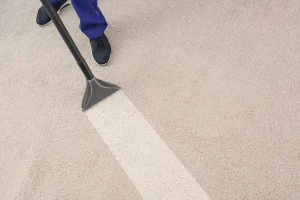 is-professional-carpet-cleaning-worth-it-extraction-result