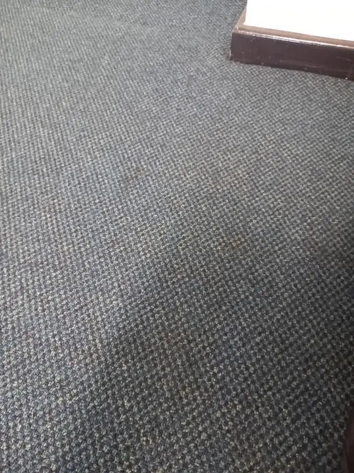 Clean carpet along a skirting board in a Shelly Beach home after cleaning