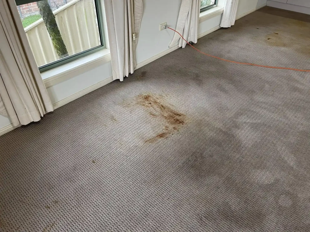 Rust-coloured stain on beige carpet in a living room near a sliding glass door before cleaning