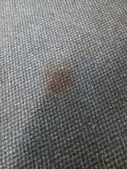 Dark stain on blue carpet in a Shelly Beach home before cleaning
