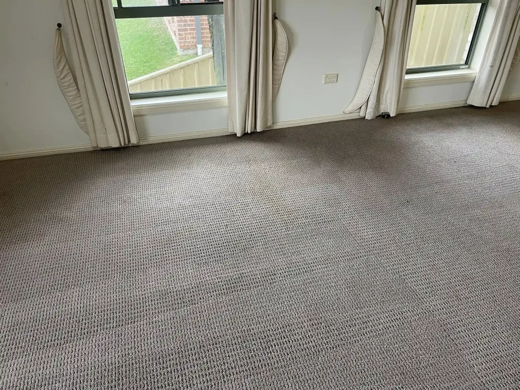 Clean beige carpet in a living room with no visible stains after professional carpet cleaning