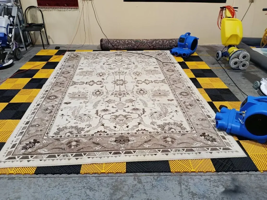 A cream and taupe patterned rug laid flat and drying with air movers at a rug-cleaning facility