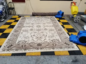 A cream and taupe patterned rug laid flat and drying with air movers at a rug-cleaning facility