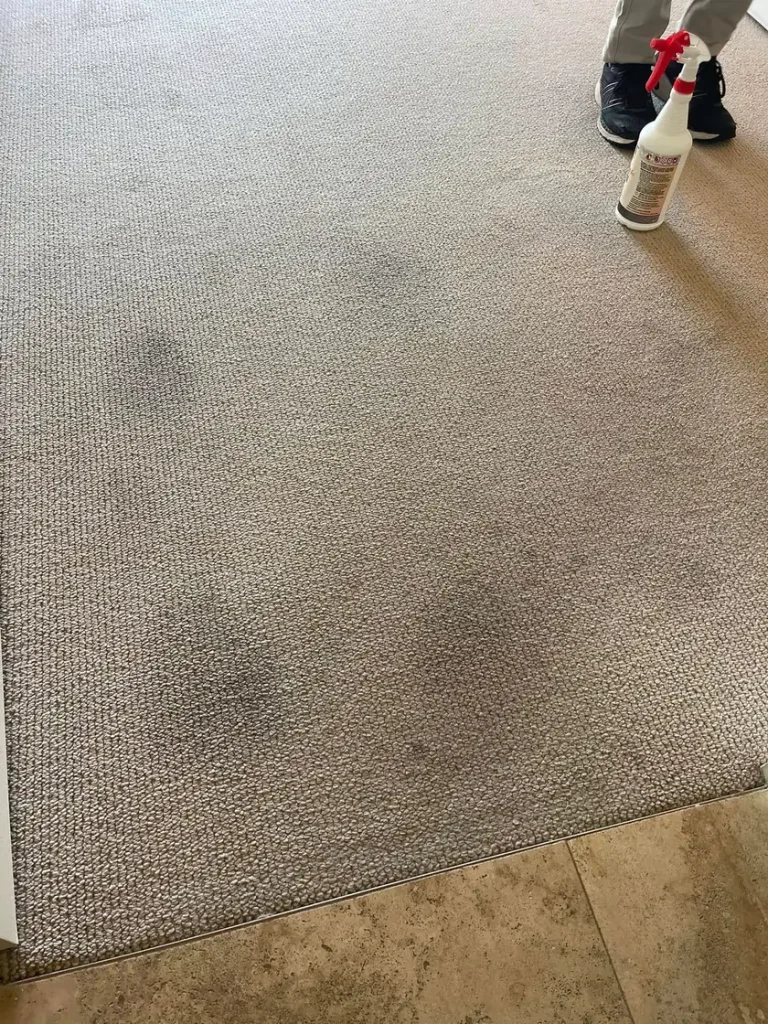 Heavily stained bedroom carpet in a Point Clare home before cleaning